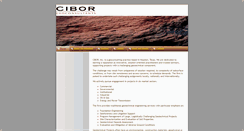 Desktop Screenshot of ciborinc.com