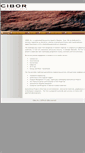Mobile Screenshot of ciborinc.com